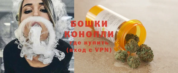 сатива Володарск
