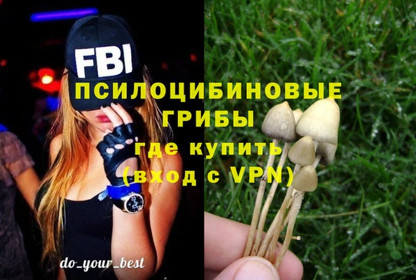 сатива Володарск