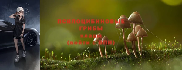 сатива Володарск