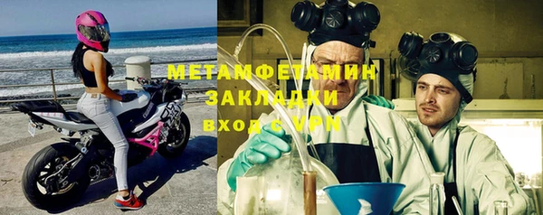 прущие грибы Волосово