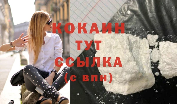 прущие грибы Волосово