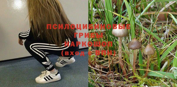 сатива Володарск