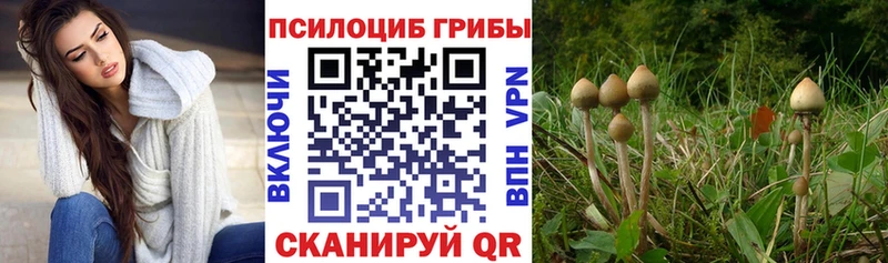 Псилоцибиновые грибы ЛСД  наркотики  Назарово 