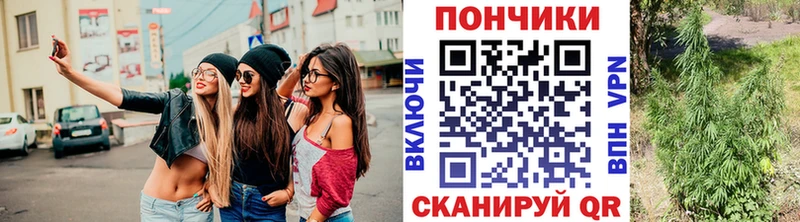 Шишки марихуана Amnesia Назарово